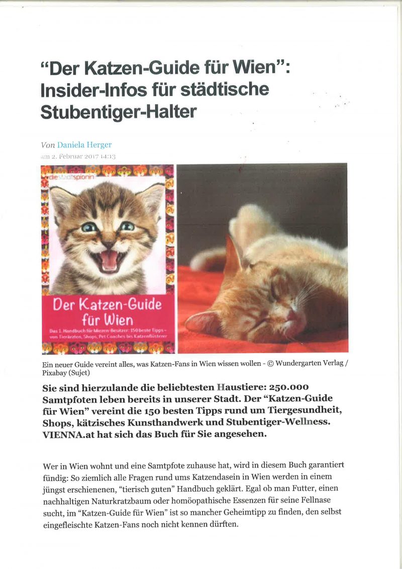 Babykatzen Wien Von Wien Danzig Altstadt 2019 11 28