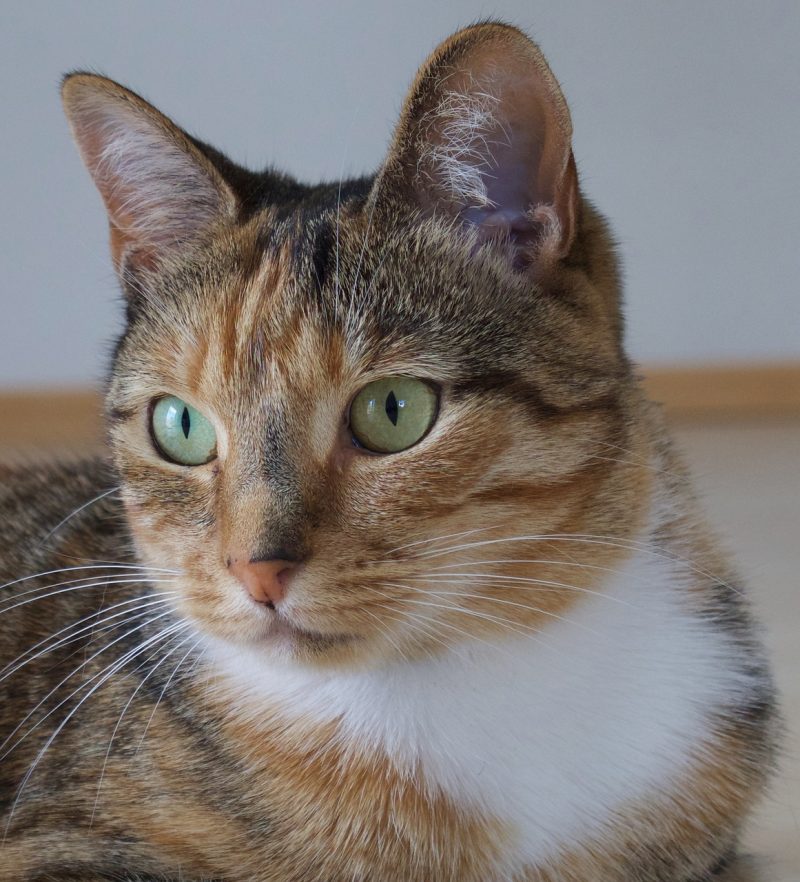 Mädels Wg Mädels Wg