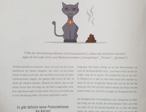 Magazin Insider – Wenn Katzen plötzlich unsauber sind