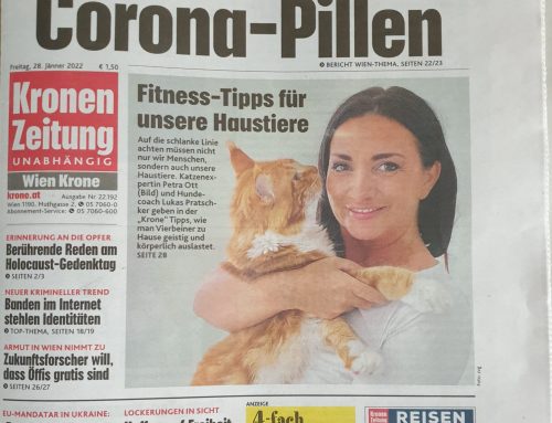 Krone Zeitung – Fitness-Tipps für unsere Haustiere